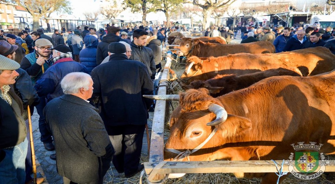 Feira dos Vinte 2018